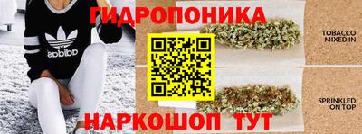 гашиш Гусев