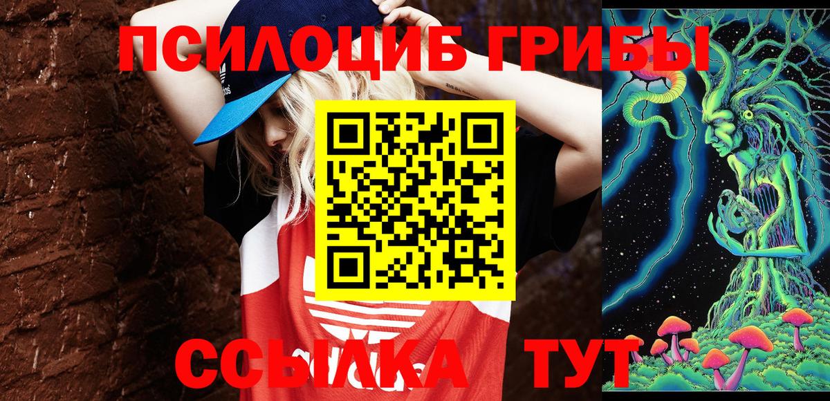 Псилоцибиновые грибы мухоморы  купить наркоту  Вход с VPN  Волхов  Галлюциногенные грибы прущие грибы 